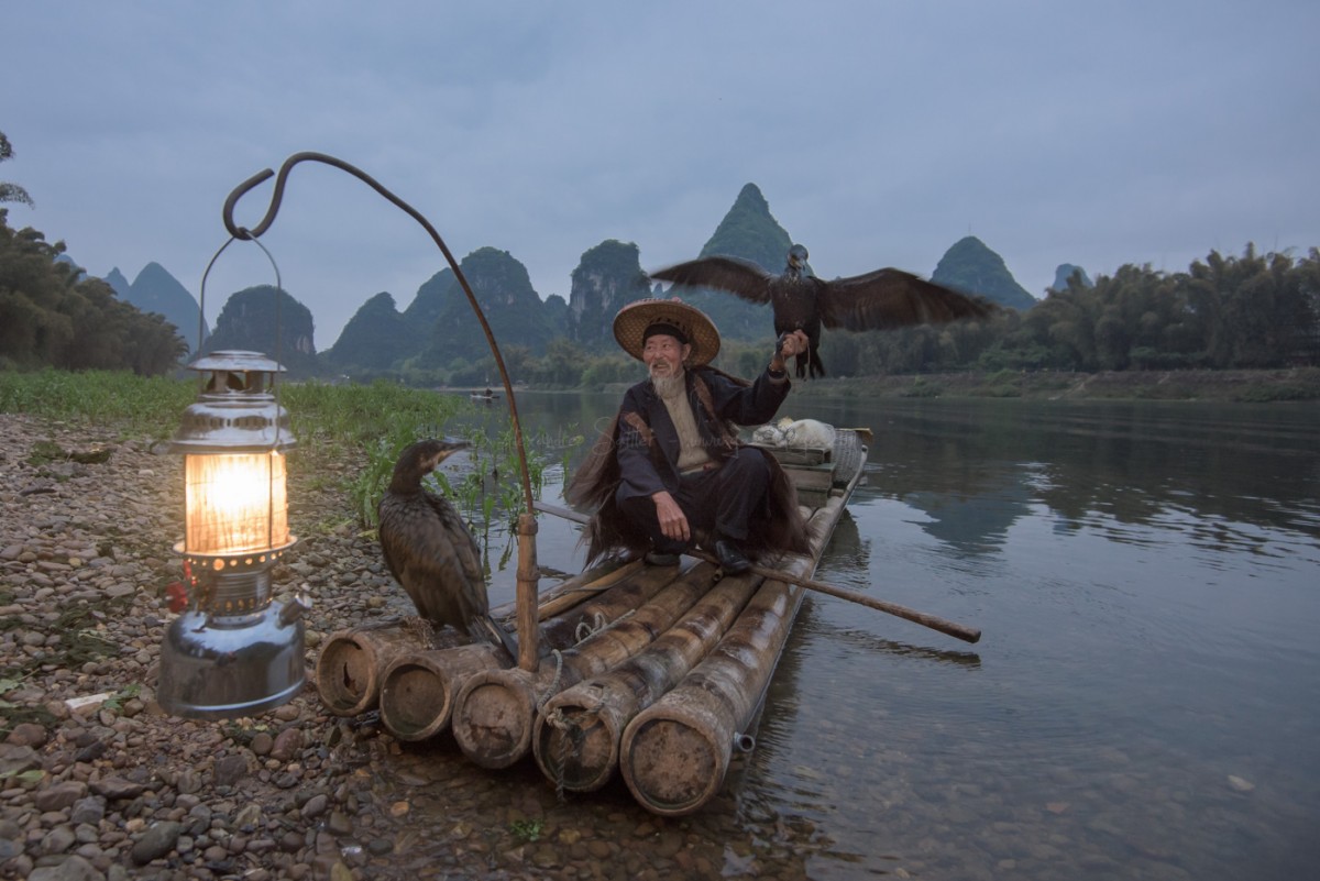 Chine, dans la province de Guiling, les pêcheurs utilise encore les cormorans comme technique de pêche traditionelle