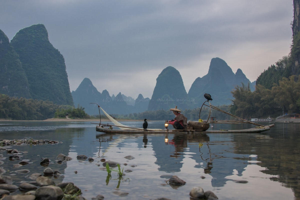 Chine, pêcheur sur sa barque en bambou avec ses cormorans, pour attraper le poisson dans la rivière.